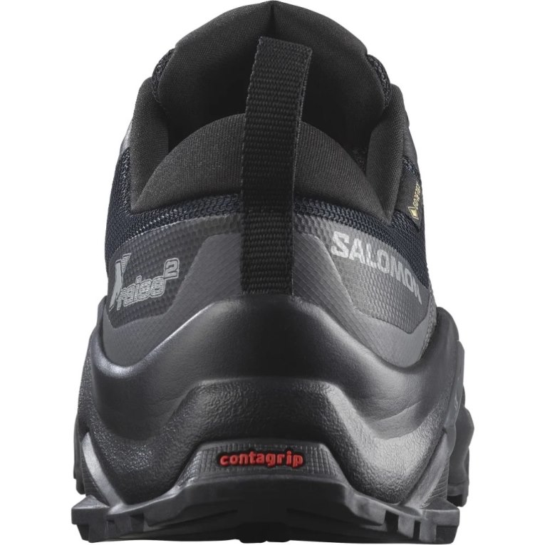 Tênis De Caminhada Salomon X Raise 2 GTX Masculino Pretas | PT G35168